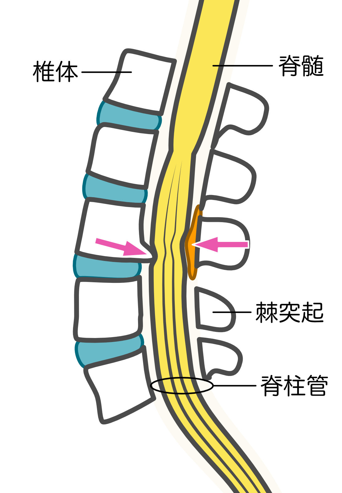 五十肩/【住吉区・住之江区からも近い】コレダ整骨院の頭痛改善メニュー紹介