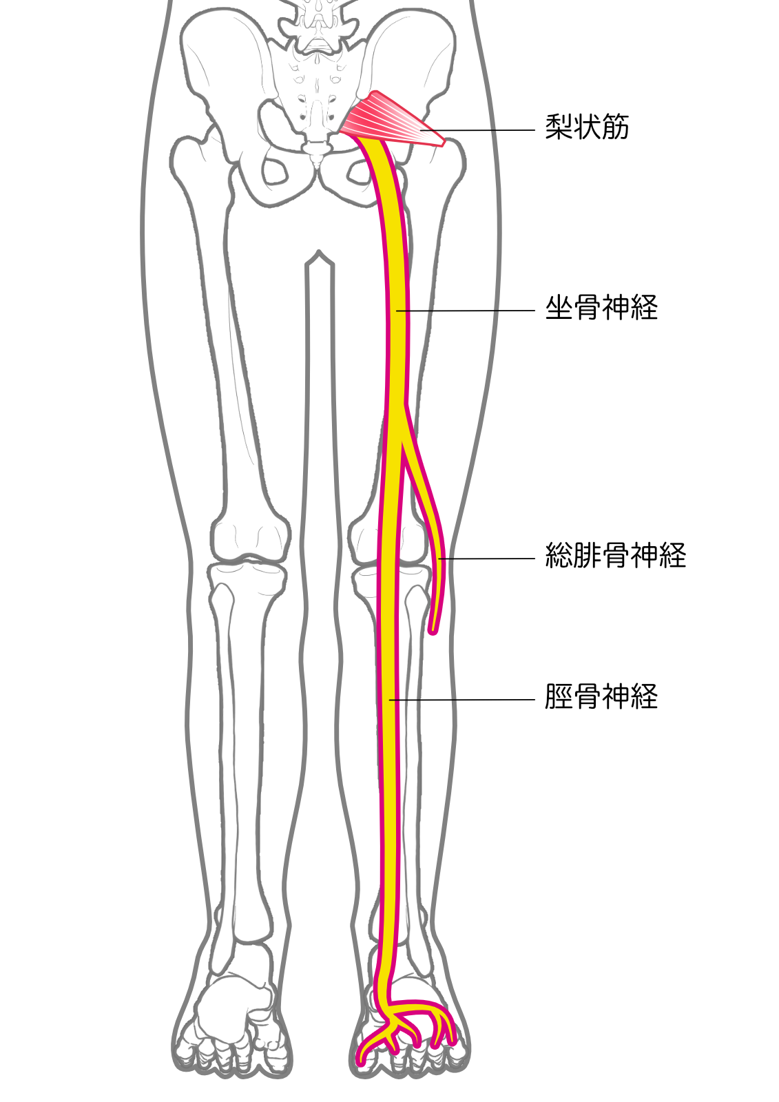 五十肩/【住吉区・住之江区からも近い】コレダ整骨院の頭痛改善メニュー紹介